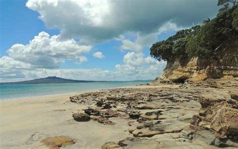 Takapuna Beach (Auckland Central) - 2021 All You Need to Know Before ...