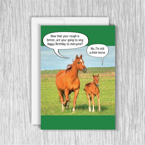 Funny Little Horse Birthday Card, Funny Birthday Card, Funny Greeting ...