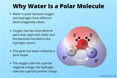 Water Molecule Diagram Electrons