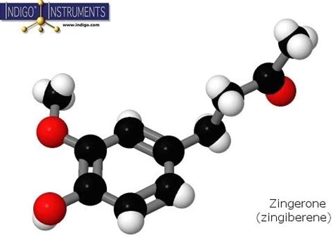 Zingerone - Alchetron, The Free Social Encyclopedia