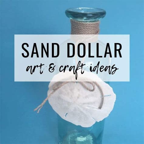 13 SAND DOLLAR ART AND CRAFT IDEAS - Seas Your Day