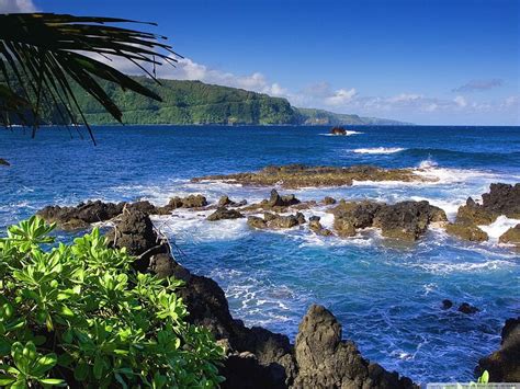 Maui, Hawaii, Amerika Serikat Ultra Background untuk U TV : Layar Lebar ...