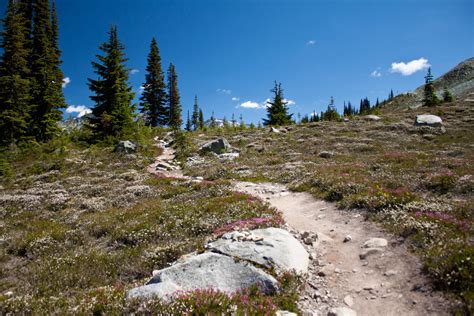 Whistler Alpine Hikes - High Note Trail | Vancouver Trails