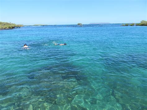 Concha de Perla, Isabela, Galapagos | Julie Journeys