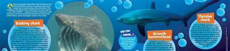 Save our sharks primary resource | National Geographic Kids