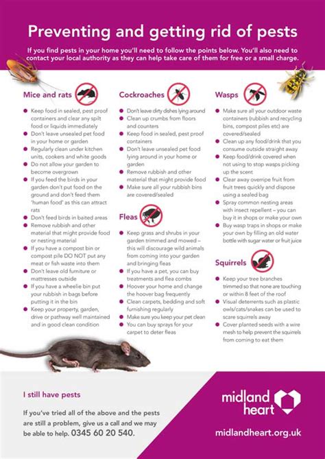 Pests & Vermin leaflet – pack of 250 - Inc Dot Design & Print