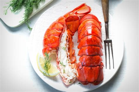 Lobster is Indeed Good for You - ShopLobster