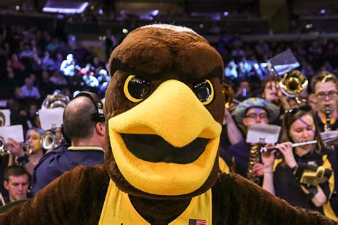 Marquette University - Golden Eagle Mascot - Olympus Mascots