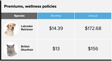 What Pet Insurance Costs | Money