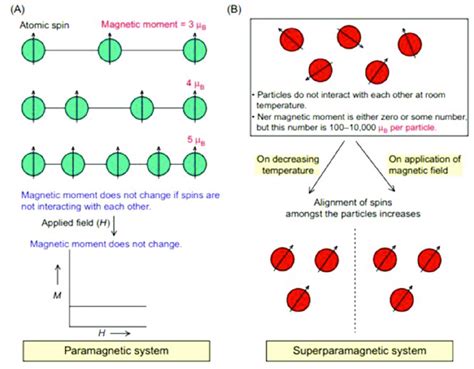 (A) Paramagnetic particles under a magnetic field. No variation of ...