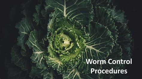 Worm Control Procedure.pdf