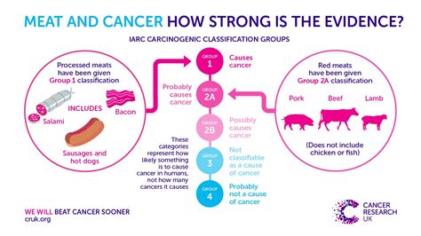 Red and processed meat Archives - Cancer Research UK - Cancer News