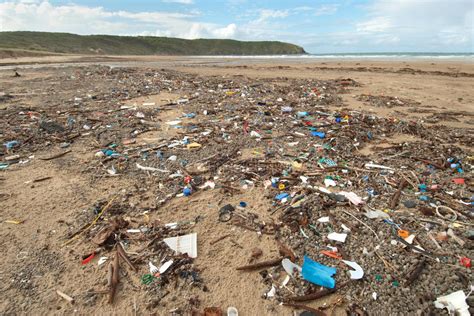 Rubbish on Beach stock image. Image of environment, beach - 9660863