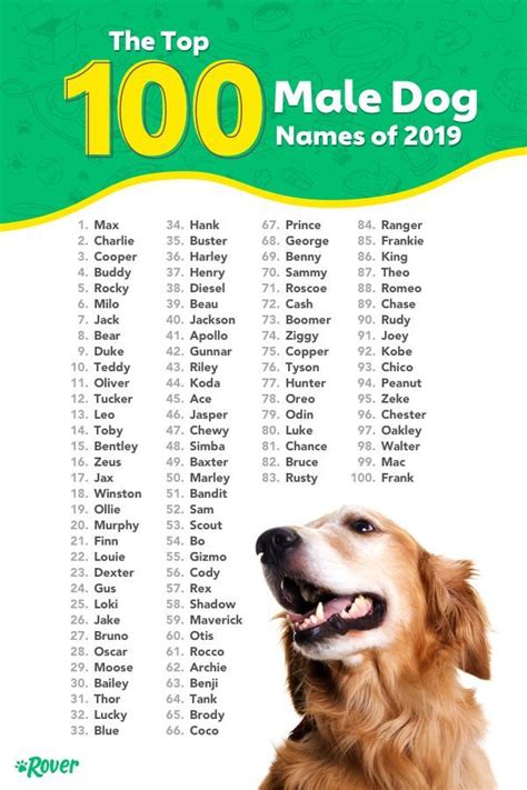 Dogs Names | Dog names, Dog names male, Best dog names