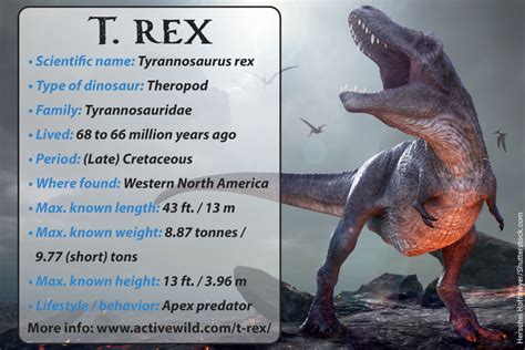 T Rex Dinosaur Facts For Kids