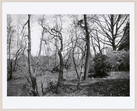 View along approach road, The Vanderbilt Estate, "Biltmore", Asheville ...