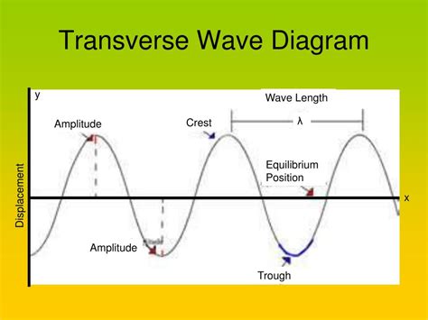 Diagram Of Transverse Wave