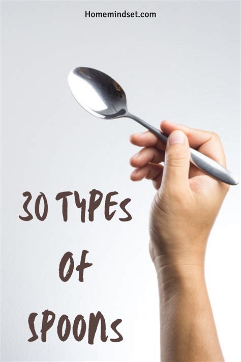 30 Types Of Spoons (Differences, Uses, Pics) | Spoon, Long teaspoon ...