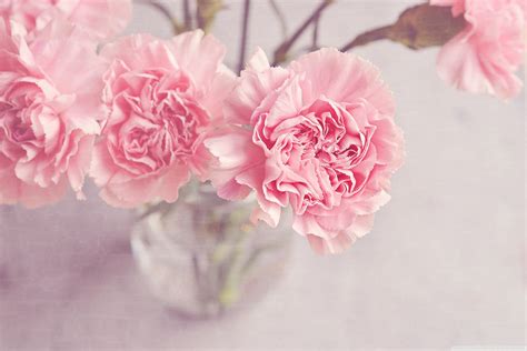 Cute Light Pink Wallpapers (57+ images)