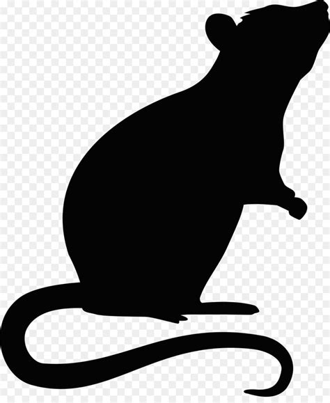 Rat Mouse Rodent - rat png download - 1200*1444 - Free Transparent Rat ...