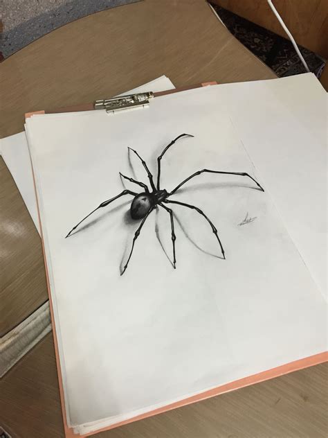 3D Draw Spider | Spider drawing, Spider art, Book art drawings