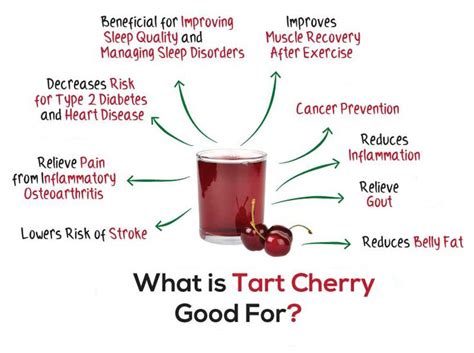 Tart Cherry Extract - Botanicals One