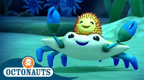 Octonauts Crab And Sea Urchin