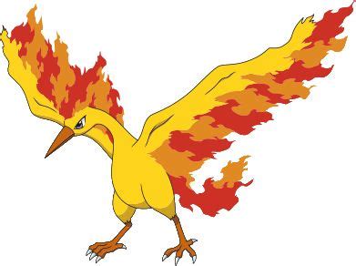 Moltres | Pokémon Wiki | FANDOM powered by Wikia | Moltres pokemon art ...