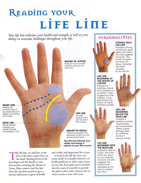 Reading your life line | Palmistry reading, Palm reading, Palmistry