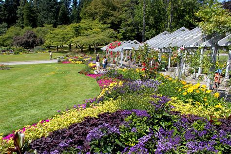 Stanley Park Rose Garden | Flickr - Photo Sharing!