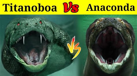 Anaconda Vs Titanoboa