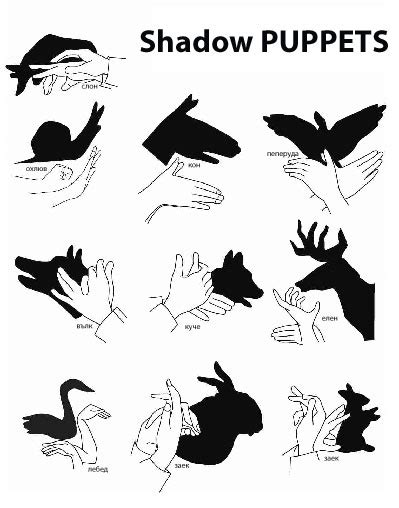 krokotak | Shadow PUPPETS