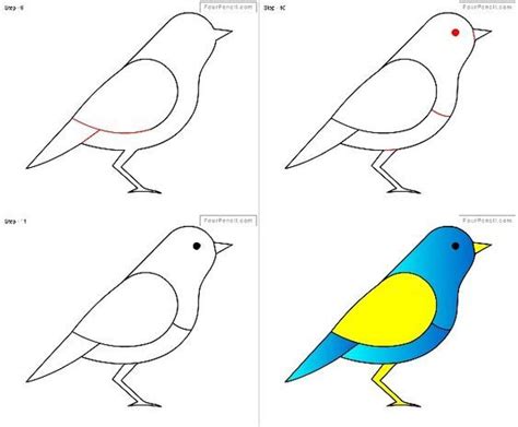 29 tutos dessins d'oiseaux étape par étape pour apprendre à dessiner ...