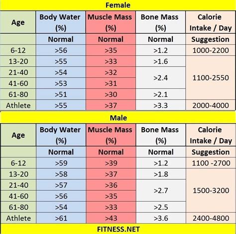 404 Not Found | Body fat percentage chart, Muscle mass, Body fat percentage