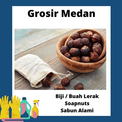 Jual Biji Lerak Buah Lerak 250gram | Shopee Indonesia