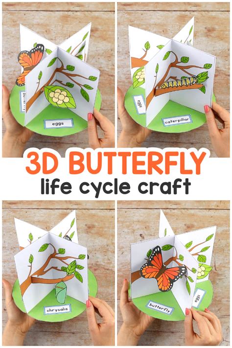 3D Butterfly Life Cycle Craft - Mobitool