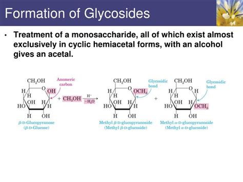 PPT - Carbohydrates PowerPoint Presentation - ID:2170103