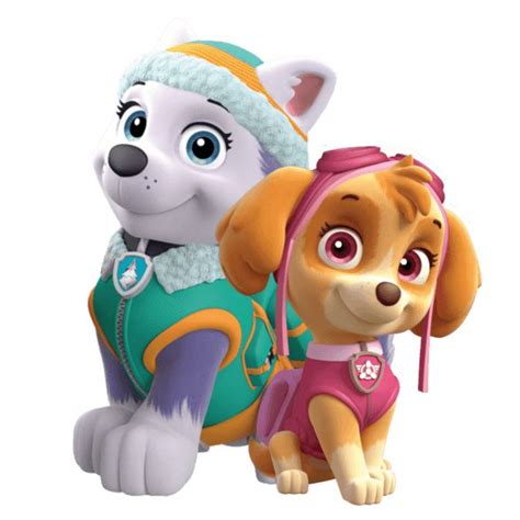 Paw Patrol Skye Png | Cumpleaños patrulla de la pata, Paw patrol png ...