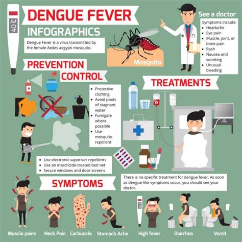 Top Tips for Avoiding Dengue Fever - globetotting.com