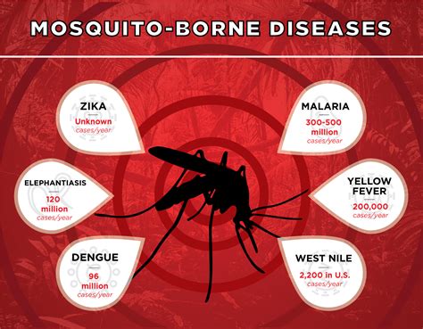 Is Zika Coming to a Neighborhood Near You? (INFOGRAPHIC) | UC Davis