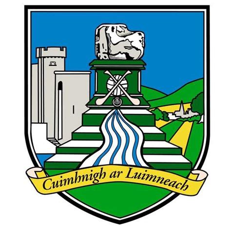 Limerick City Crest | Limerick city, Limerick, Ireland