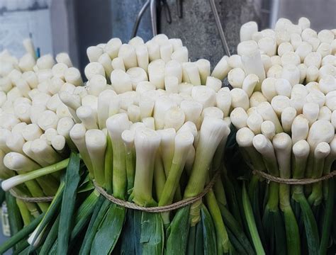 How to Store and Preserve Fresh Green Onions in the Fridge