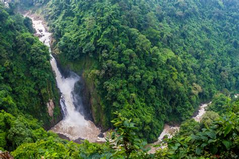 Khao Yai national Park | 3-daagse Tour vanuit Bangkok - 333travel