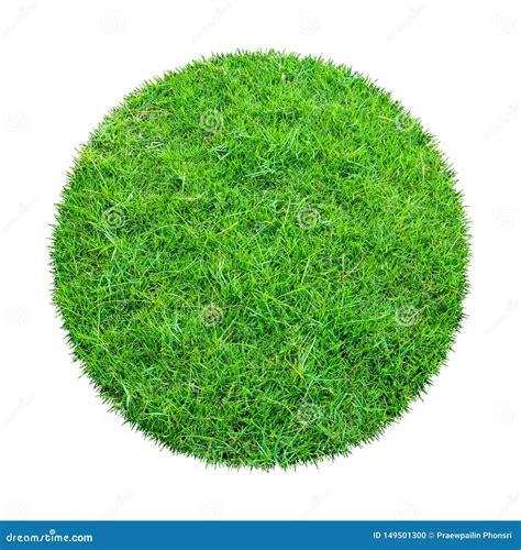 Abstract Green Grass Texture for Background. Circle Green Grass Pattern ...