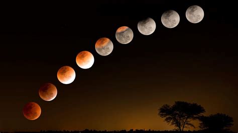 Lunar Phases April 2025 Lok - Cherri Regine