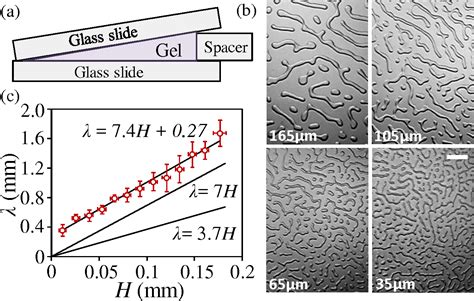 Figure 2 from Direct measurement of the surface tension of a soft ...