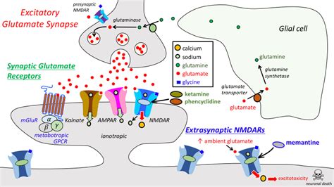 overview_of_cns_neurotransmitters [TUSOM | Pharmwiki]