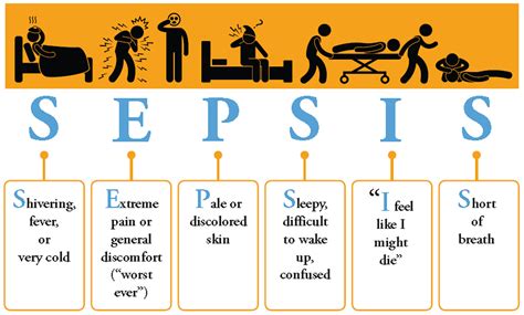 Septicemia or sepsis causes, symptoms, signs, diagnosis and treatment