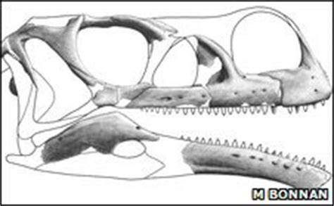 Transitional Fossil Discovered in South Africa - Ancestor of Jurassic ...