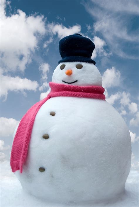 Snowman - Christmas Photo (22227886) - Fanpop